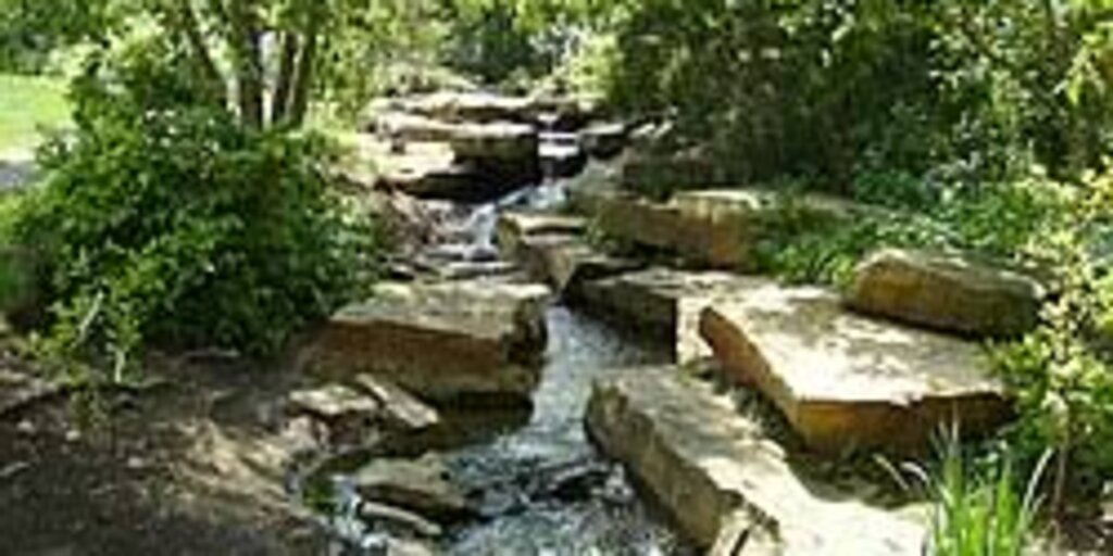 Thrive Wise Connections: Parks 101: The Inside Scoop on Your MetroParks Banner