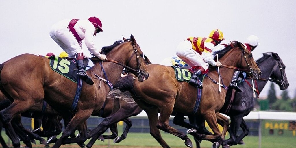 Octoberfest at the Races 2026 Banner