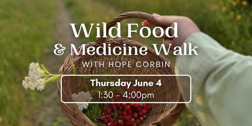 Wild Food & Medicine Walk Banner