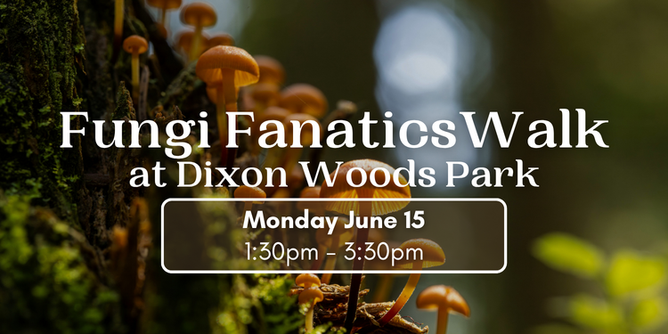 Fungi Fanatics Walk at Dixon Woods Park