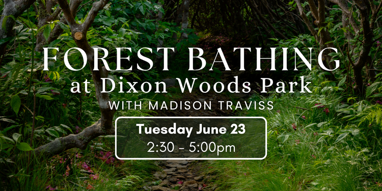 Forest Bathing at Dixon Woods Park with Madison Traviss