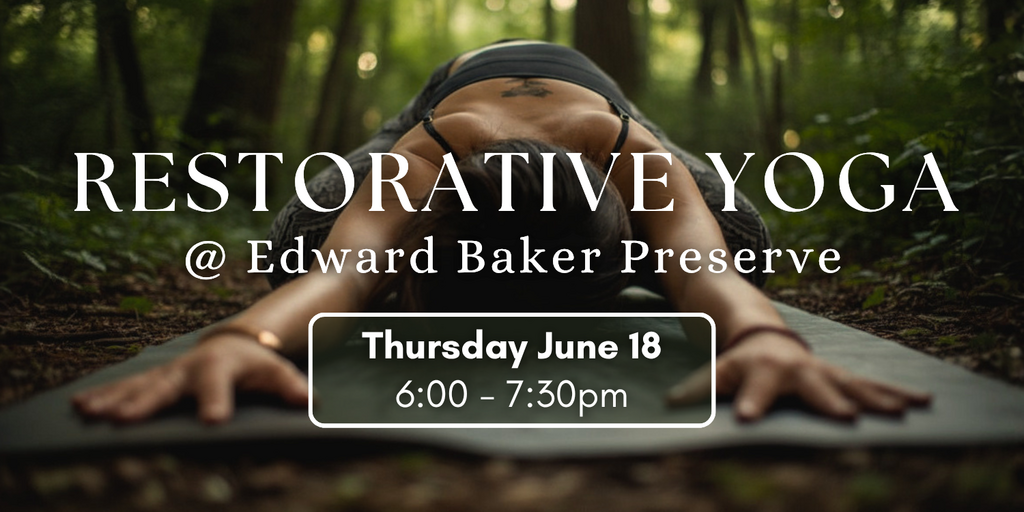 Restorative Yoga at Edward Baker Banner