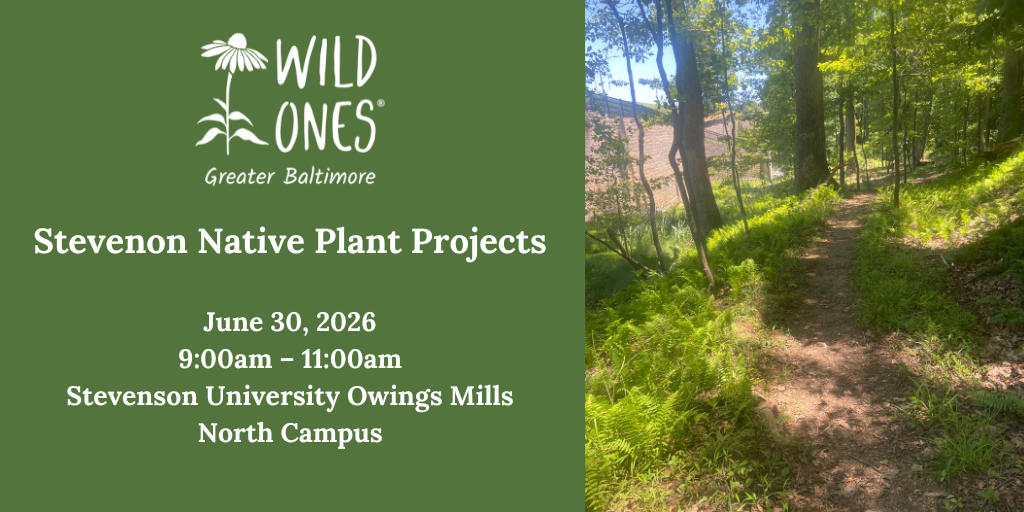 Stevenson Native Plant Projects Banner