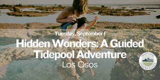 Hidden Wonders: A Guided Tidepool Adventure- Heartland Charter School
