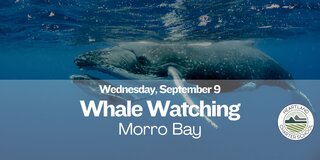 Morro Bay Whale Watching- Heartland Charter School