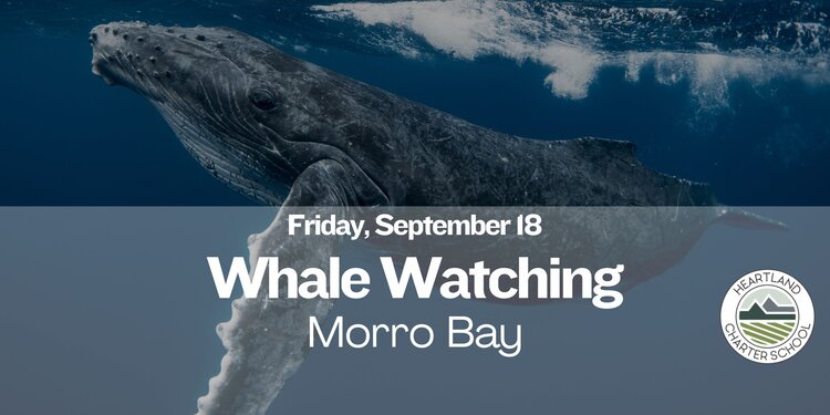 Whale Watching- Heartland Charter School
