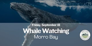 Whale Watching- Heartland Charter School