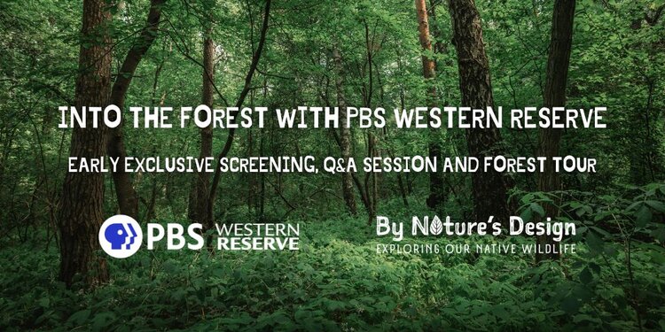 Into the Forest with PBS Western Reserve