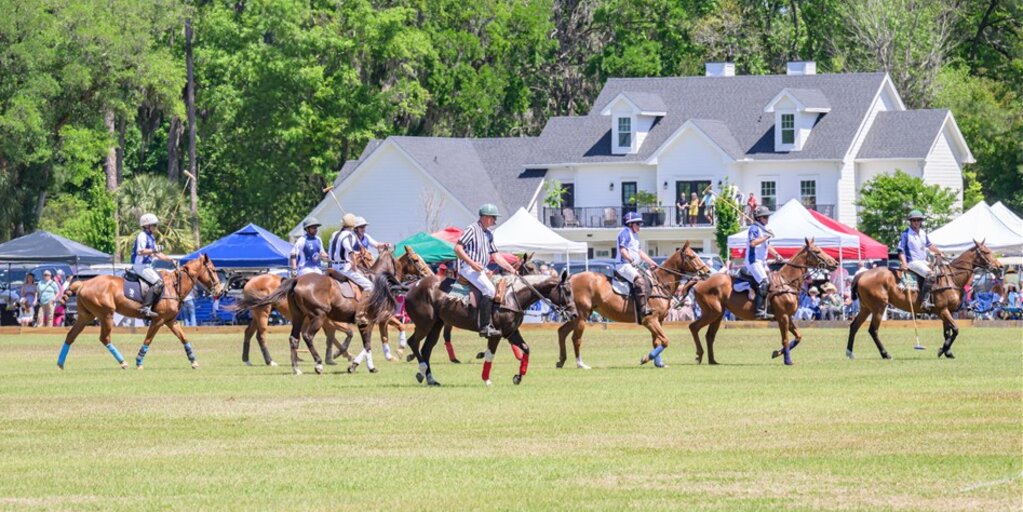 Equus Charities of the Lowcountry Fall Charity Polo Match Banner