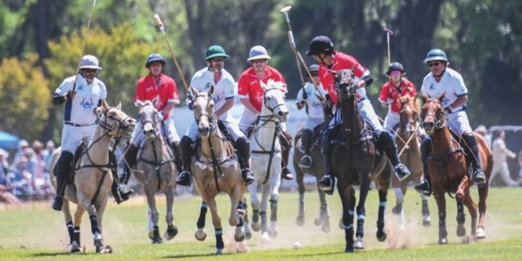 Equus Charities of the Lowcountry Rose Hill Fall Charity Polo Match Banner