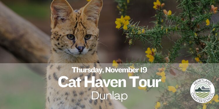 Cat Haven Tour- Heartland Charter School