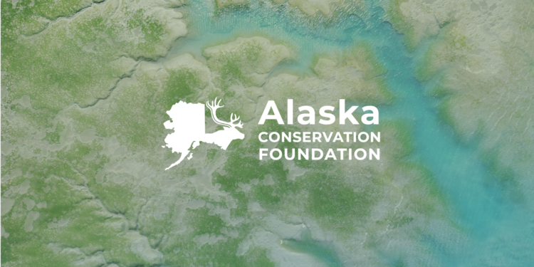 2026 Conservation Achievement Awards