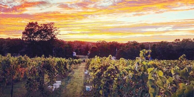 2026 GDRV Missouri Rally Winery Dinner Ticket