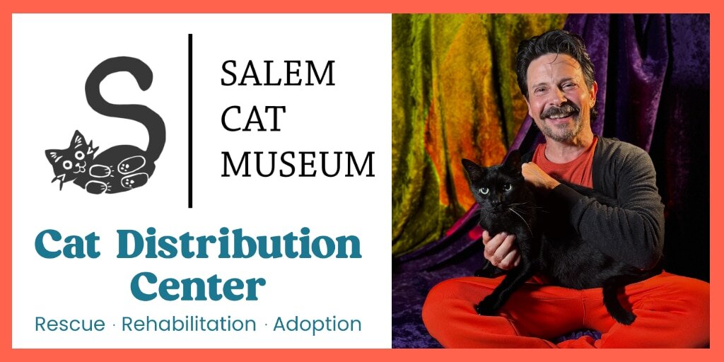 Meow & Greet with Jason Marsden Banner