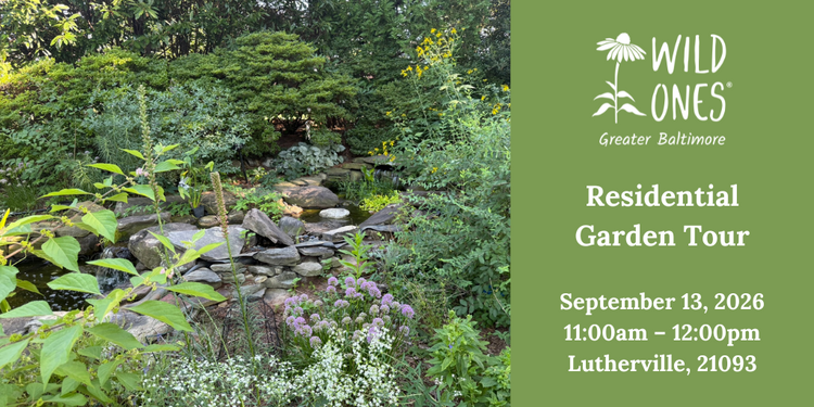 Residential Garden Tour (Lutherville 21093)