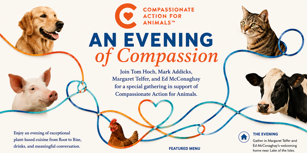 An Evening of Compassion Banner