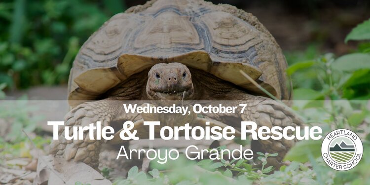 Turtle & Tortoise Rescue- Heartland Charter School