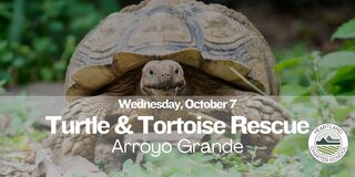 Turtle & Tortoise Rescue- Heartland Charter School