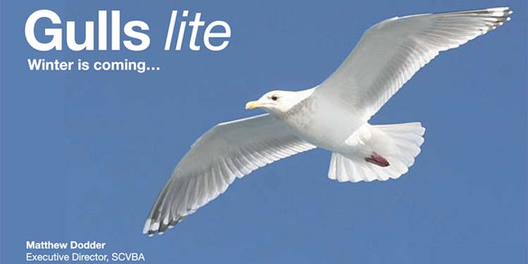 Class: Gulls lite