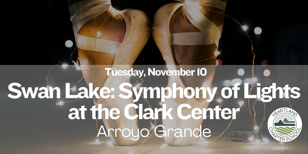 Swan Lake: Symphony of Lights-Heartland Charter School Banner