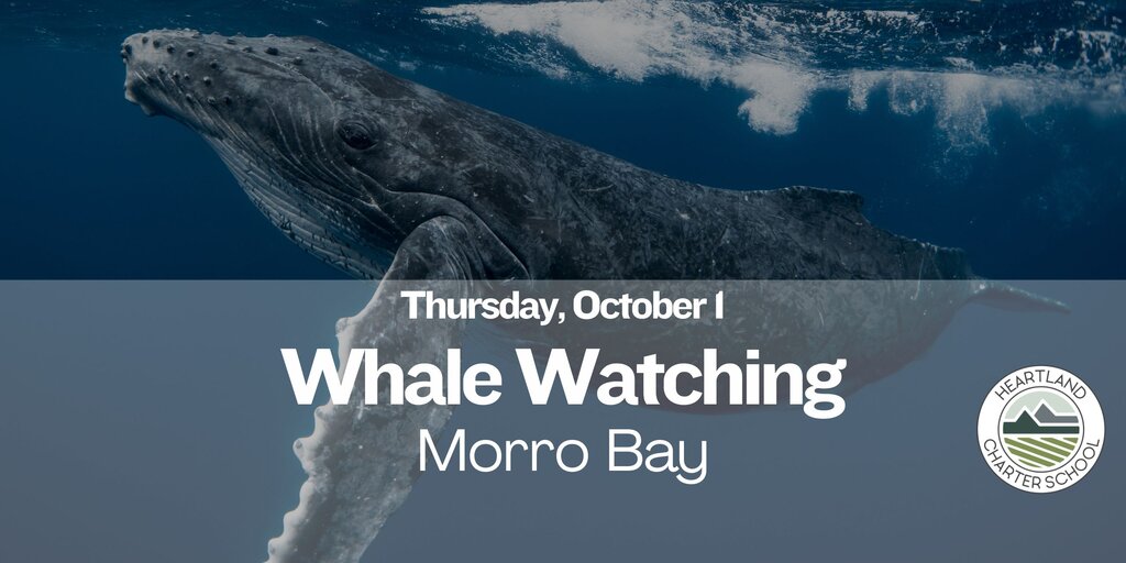 Morro Bay Whale Watching- Heartland Charter School Banner