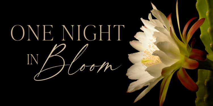 One Night in Bloom