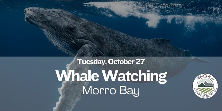 Morro Bay Whale Watching- Heartland Charter School