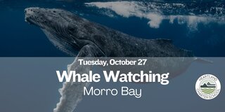 Morro Bay Whale Watching- Heartland Charter School