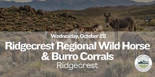 Ridgecrest Regional Wild Horse & Burro Corrals- Heartland Charter School