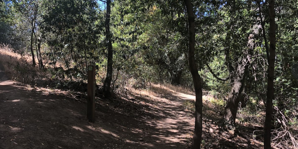 Deer Island Open Space and Simmons Slough - Novato Banner