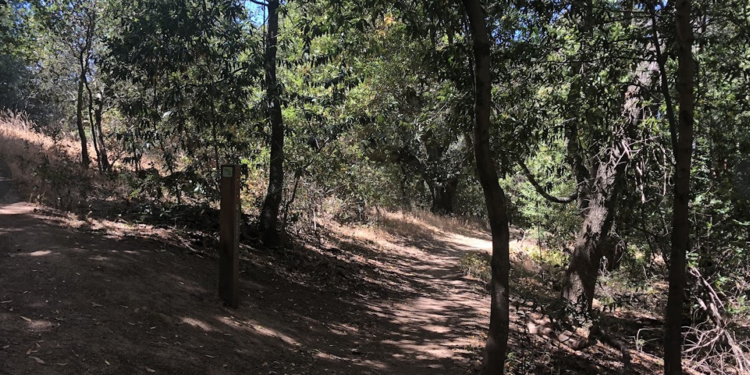 Deer Island Open Space and Simmons Slough - Novato