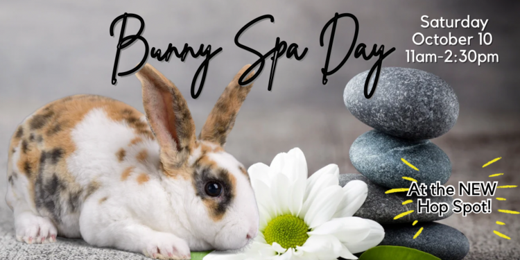 Bunny Spa Day October 2026