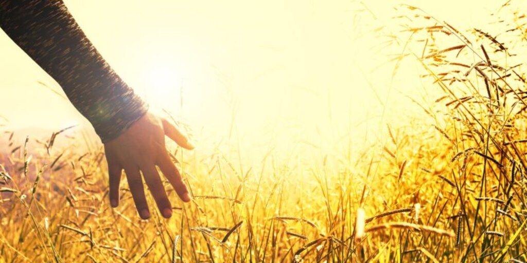 Cutting Ties from Toxic Relationships of the Past and Present Banner