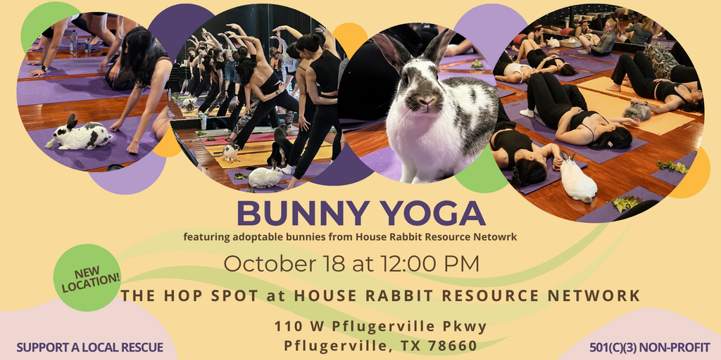 Bunny Yoga benefiting House Rabbit Resource Network Banner