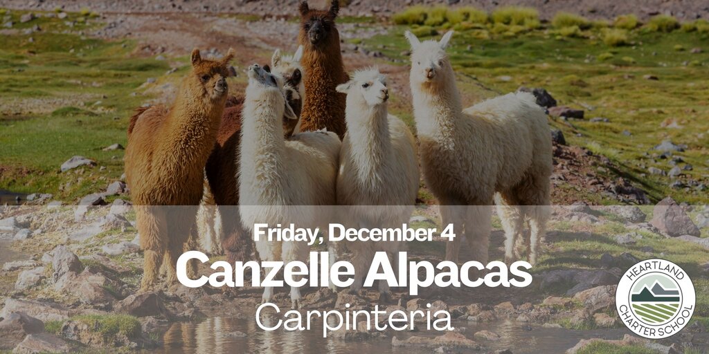Canzelle Alpacas in Carpinteria- Heartland Charter School Banner