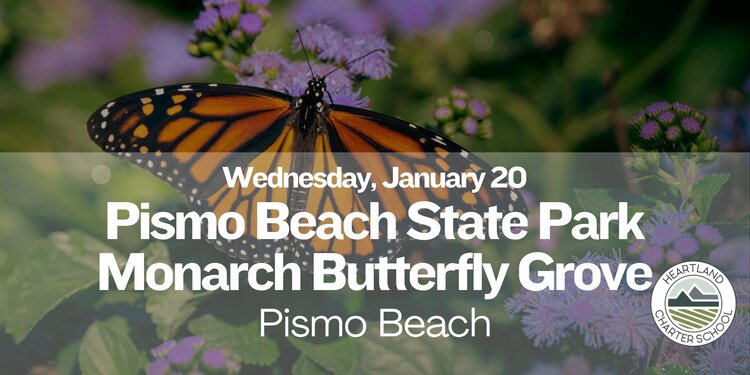 PISMO STATE BEACH MONARCH BUTTERFLY GROVE-Heartland Charter School