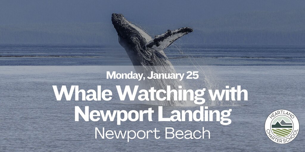 Whale Watching with Newport Landing- Heartland Charter School Banner