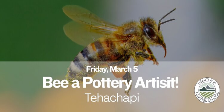 Bee a Pottery Artisit!🐝-Heartland Charter School