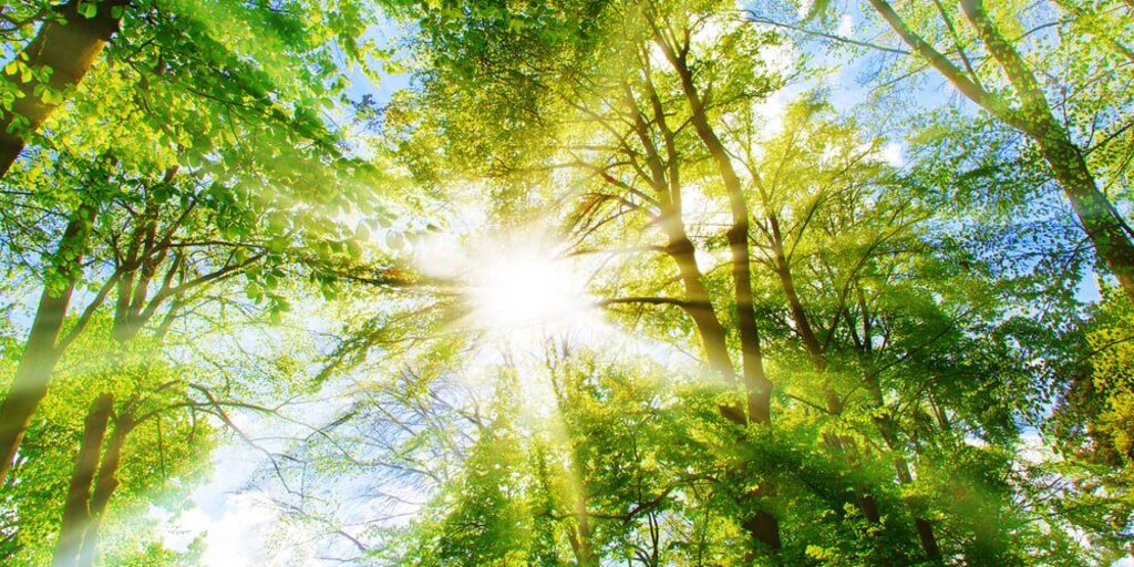 November 3, 2026 - Midday Divine Mother Healing Banner