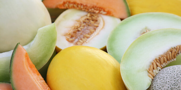 July Sprouting Project Dinner: Melon