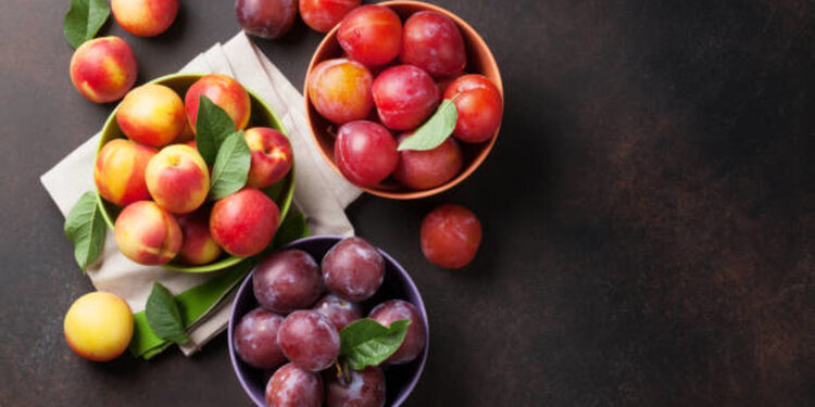 August Sprouting Project Dinner: Stonefruit