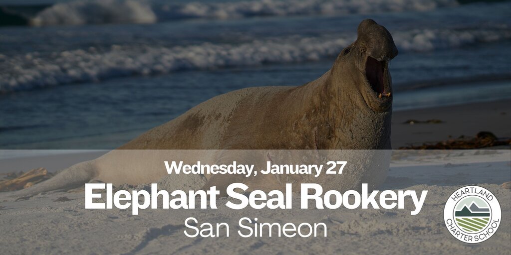 Elephant Seal Rookery- Heartland Charter School Banner