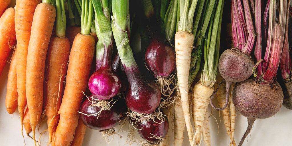November Sprouting Project Dinner: Roots Banner