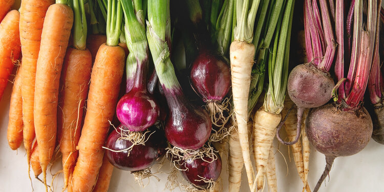 November Sprouting Project Dinner: Roots