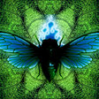 Burning Cicada, Ltd. profile picture
