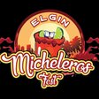 Elgin Micheleros Festival profile picture