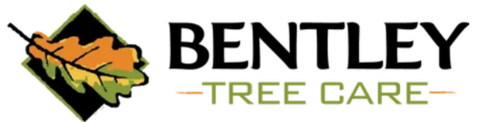 Bentley Tree Care