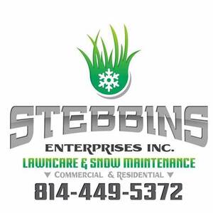 Stebbins Enterprise Inc