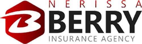 Nerissa Berry Insurance