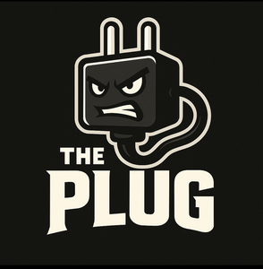 The plug